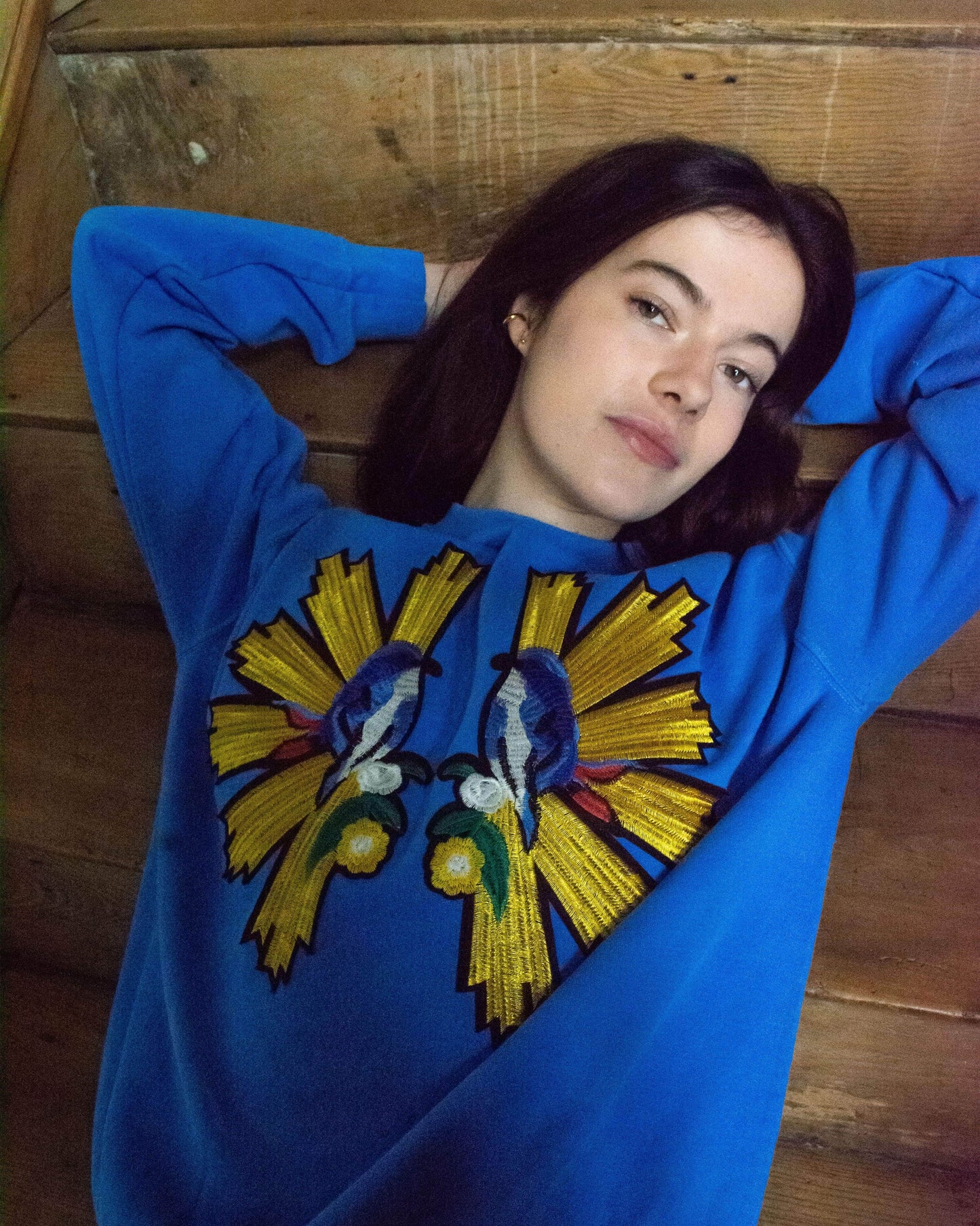 Sunburst Birds Blue Sweatshirt